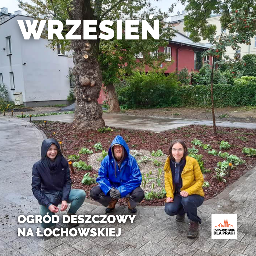 Wrzesień - Ogród deszczowy na Łochowskiej.