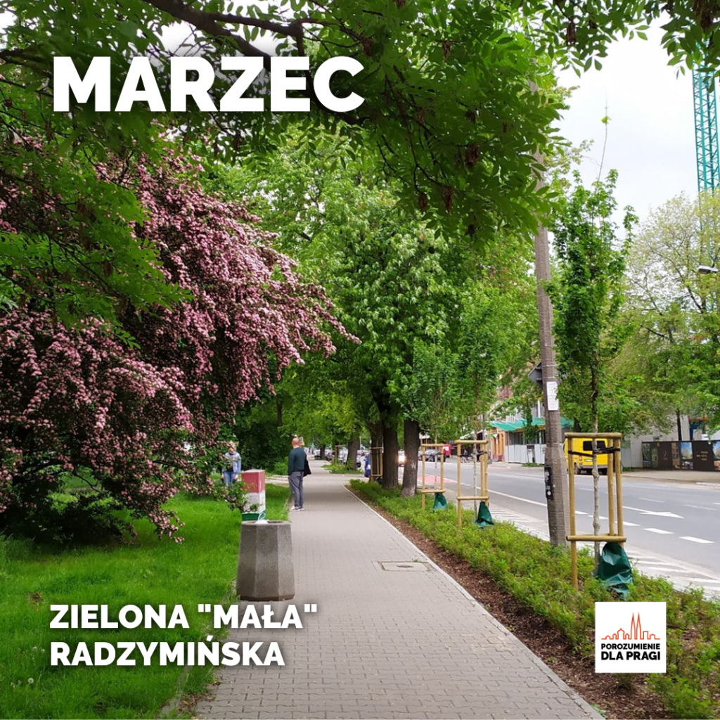 Marzec - Zielona "Mała" Radzymińska.