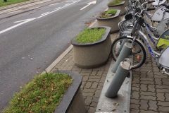 11 Listopada - Stan przed sadzeniem - fot. Porozumienie dla Pragi