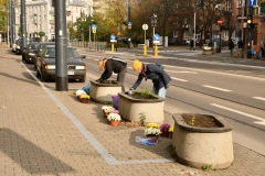 Sadzenie na 11 Listopada, fot. Porozumienie dla Pragi