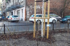 Fragment zniszczonego zieleńca zrekultywowany dzięki interwencji radnego Borowskiego oraz projektom Karoliny Krajewskiej do Budżetu Obywatelskiego.