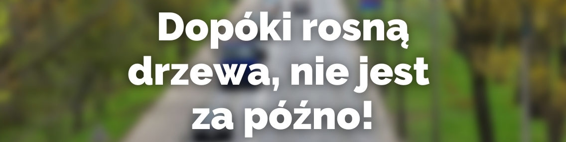 Dopóki drzewa rosną, nie jest za późno, by je ocalić - polemika z red. Osowskim