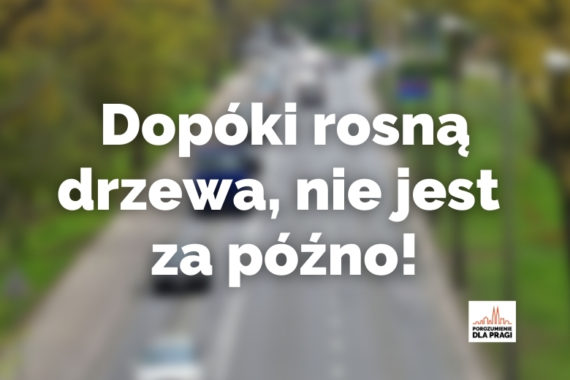 Dopóki drzewa rosną, nie jest za późno, by je ocalić - polemika z red. Osowskim