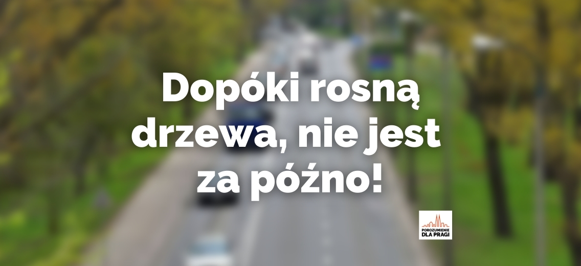 Dopóki drzewa rosną, nie jest za późno, by je ocalić - polemika z red. Osowskim