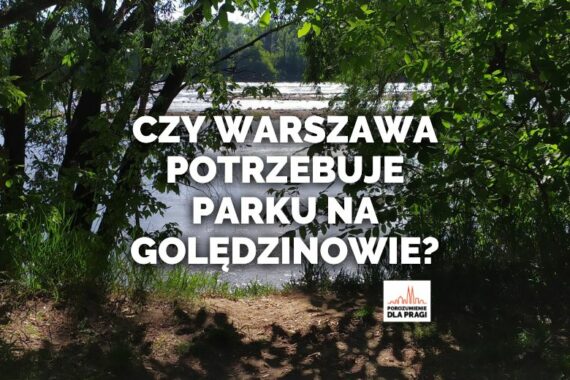 Czy Warszawa potrzebuje parku na Golędzinowie?